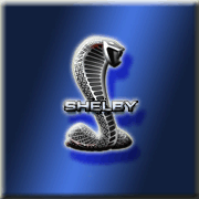 Logo Shelby